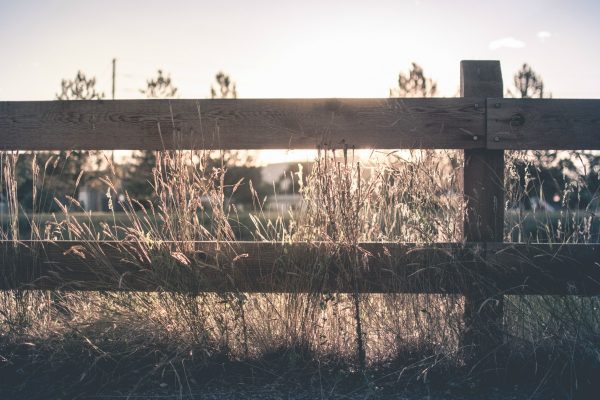 On The Other Side of Infertility