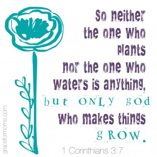 1 Corinthians 3
