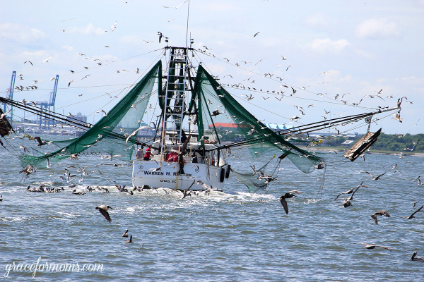 Charleston Harbor Boat