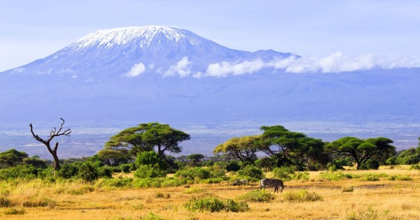 One-Million-Thumbprints-Kilimanjaro